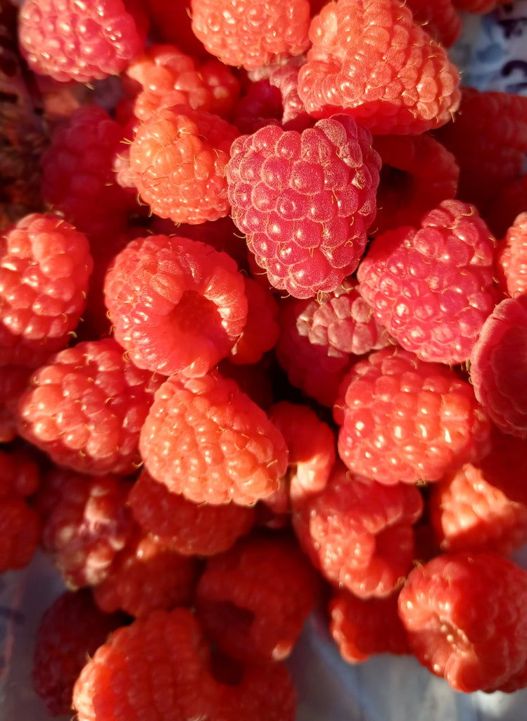 Red Raspberry And Apple's Red Raspberry - Rubus idaeus – Rooted By The Bluffs