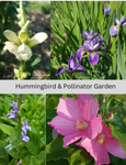 Hummingbird & Pollinator Garden Plant Pack